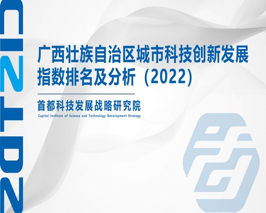 插逼流水动态视频【成果发布】广西壮族自治区城市科技创新发展指数排名及分析（2022）